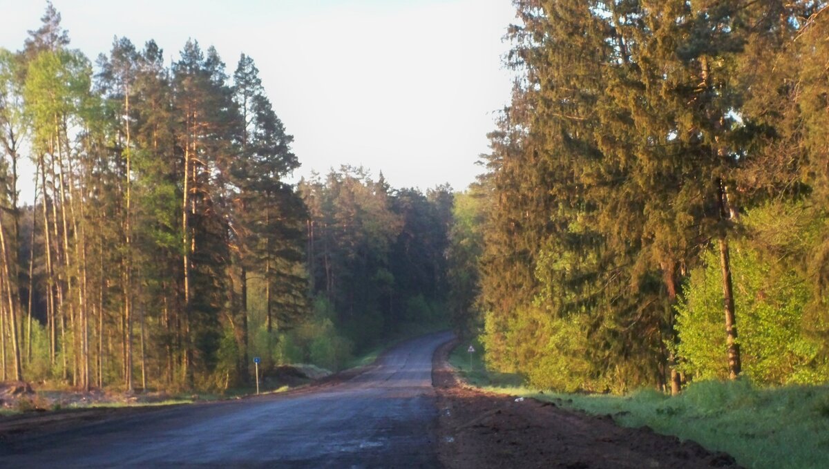100_8918.JPG
