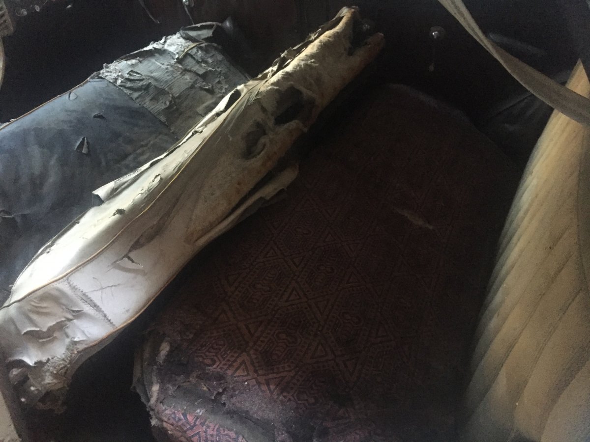 2017-07-04 20.12.42.JPG