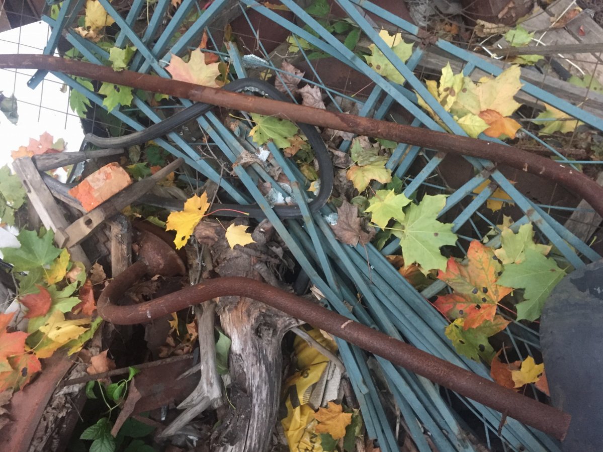 2017-10-01 17.34.46.JPG