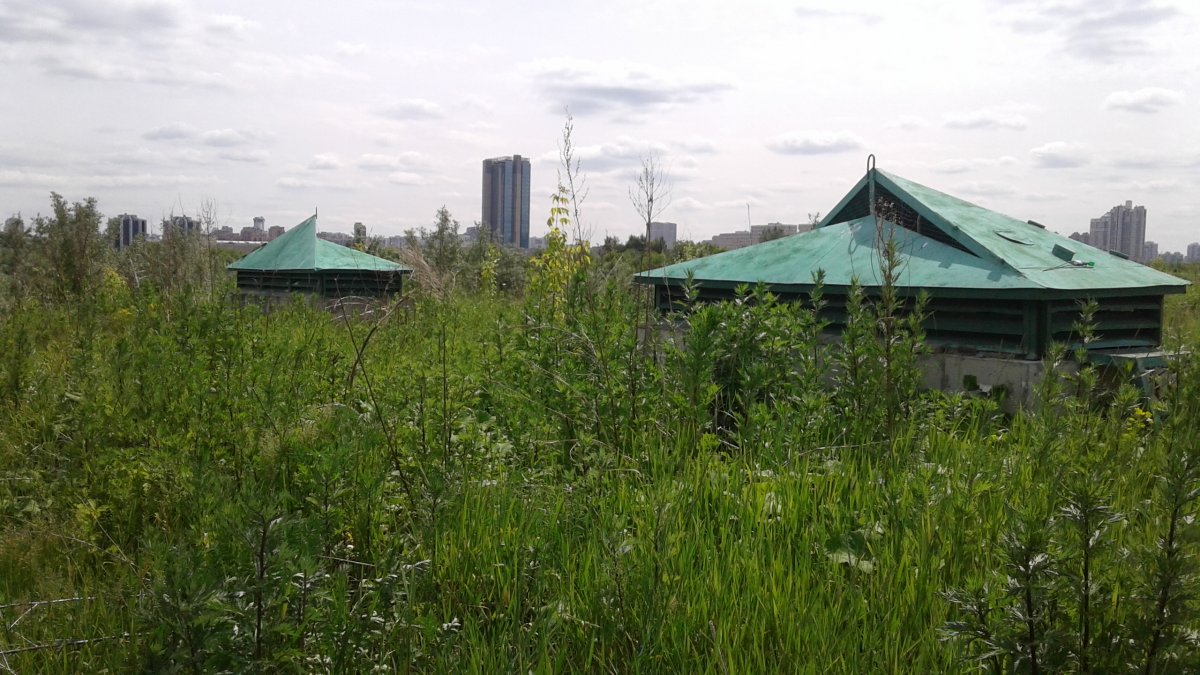 20180614_131107.jpg