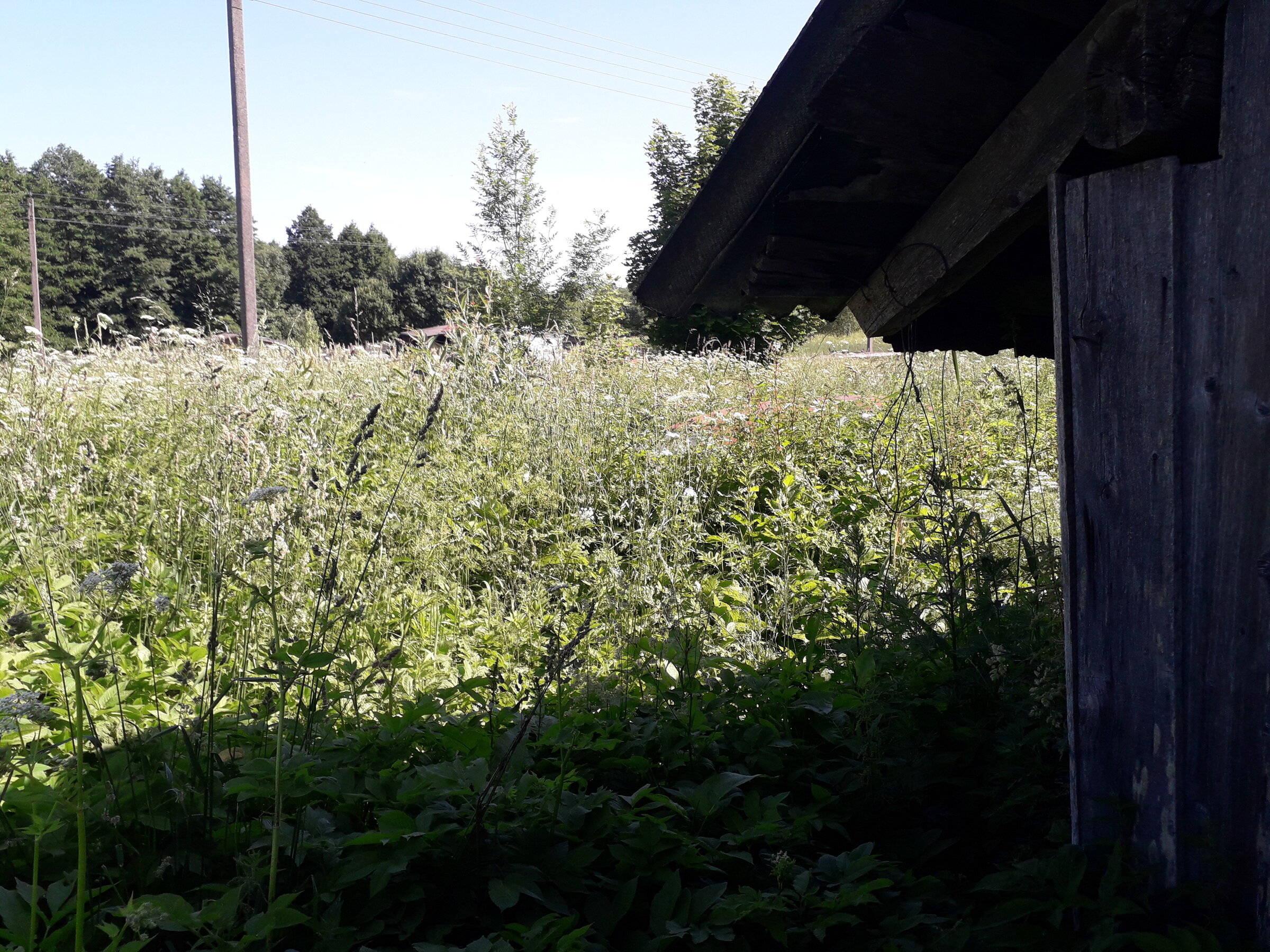 20260627_102729.jpg