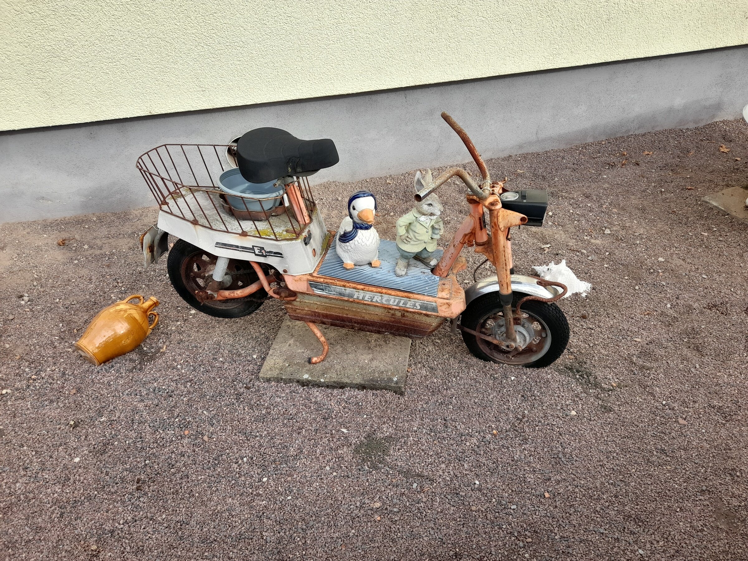 20260819_085617.jpg