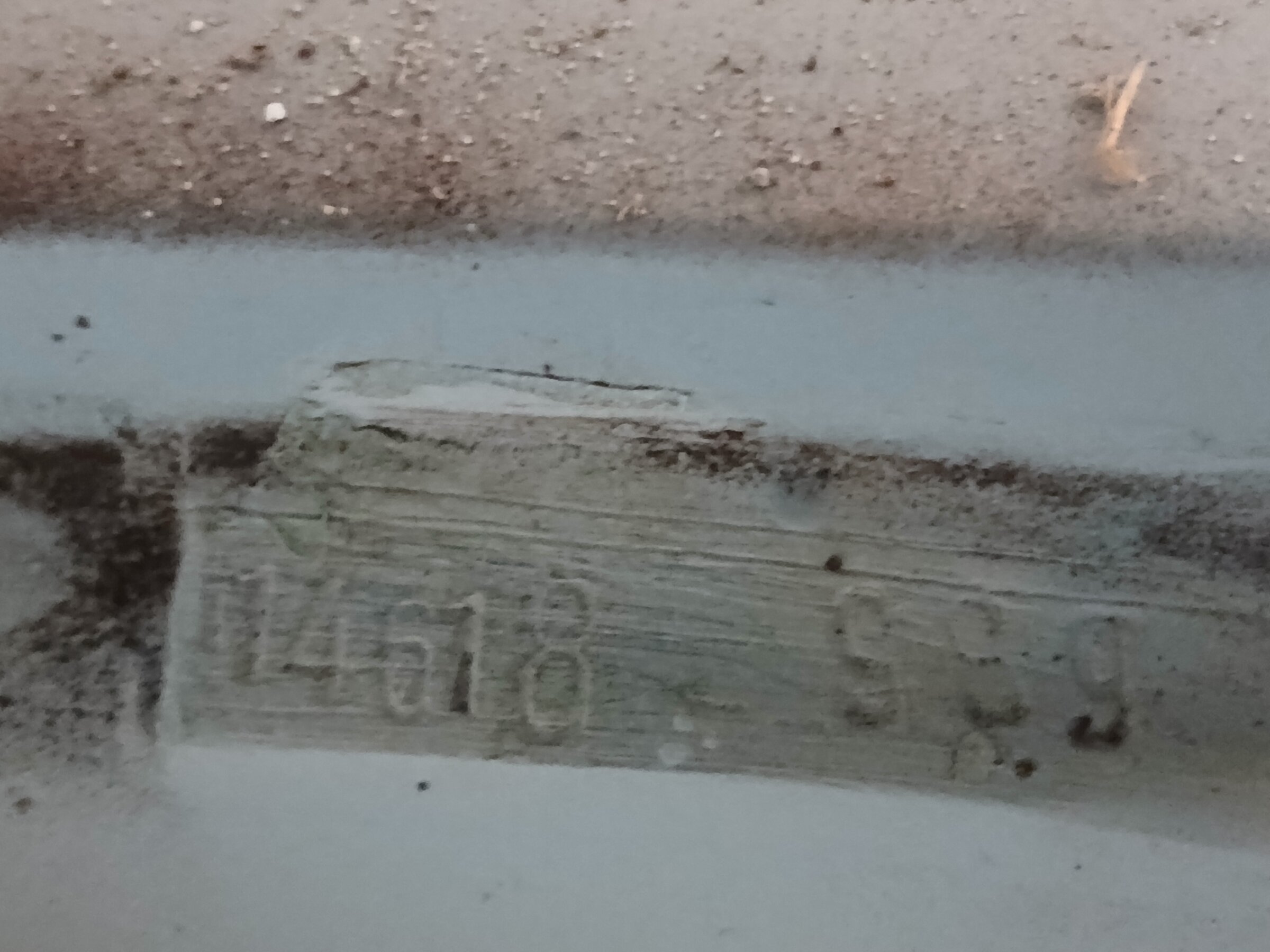 20260926_111616.jpg