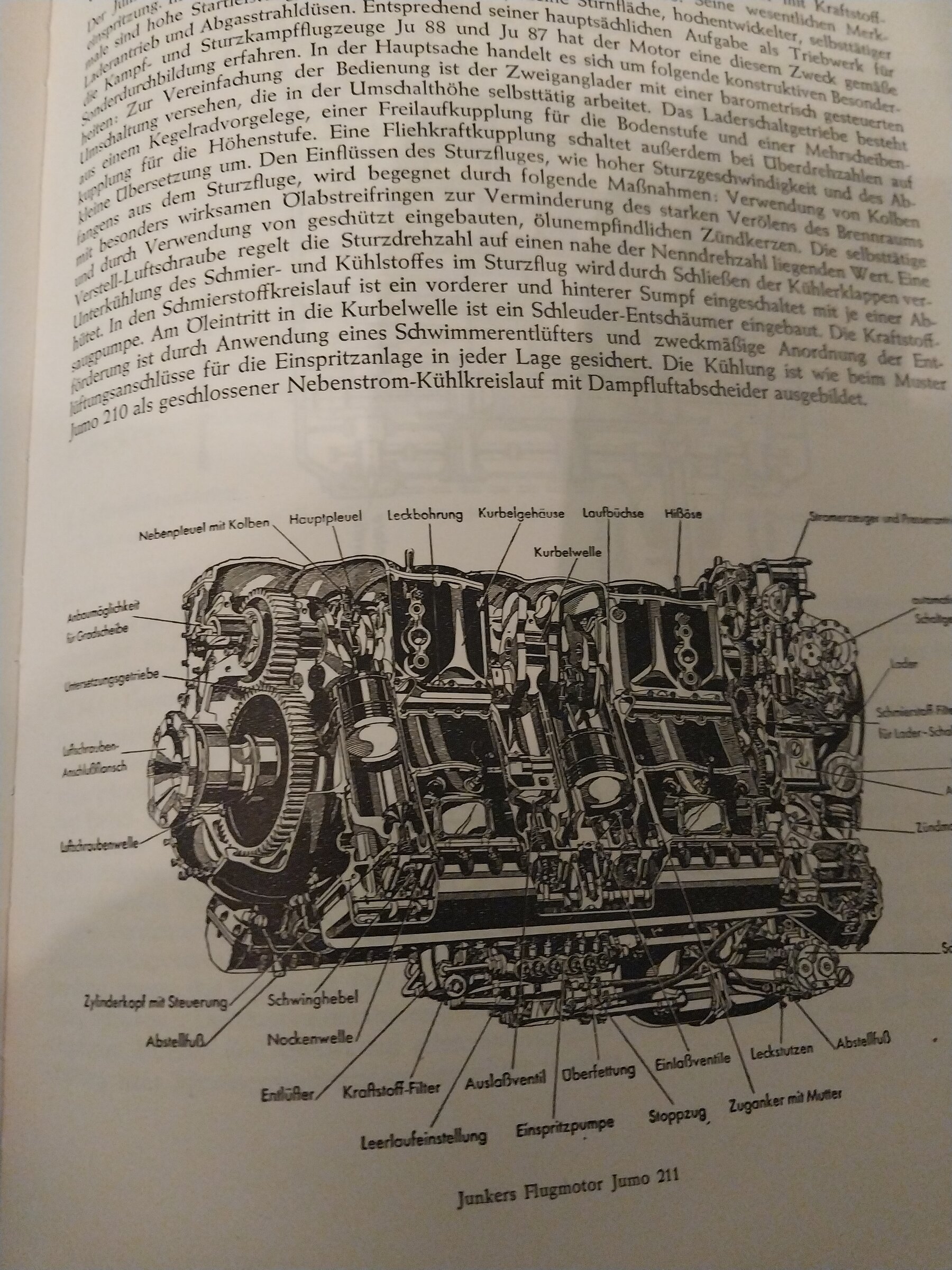 20260927_182331.jpg