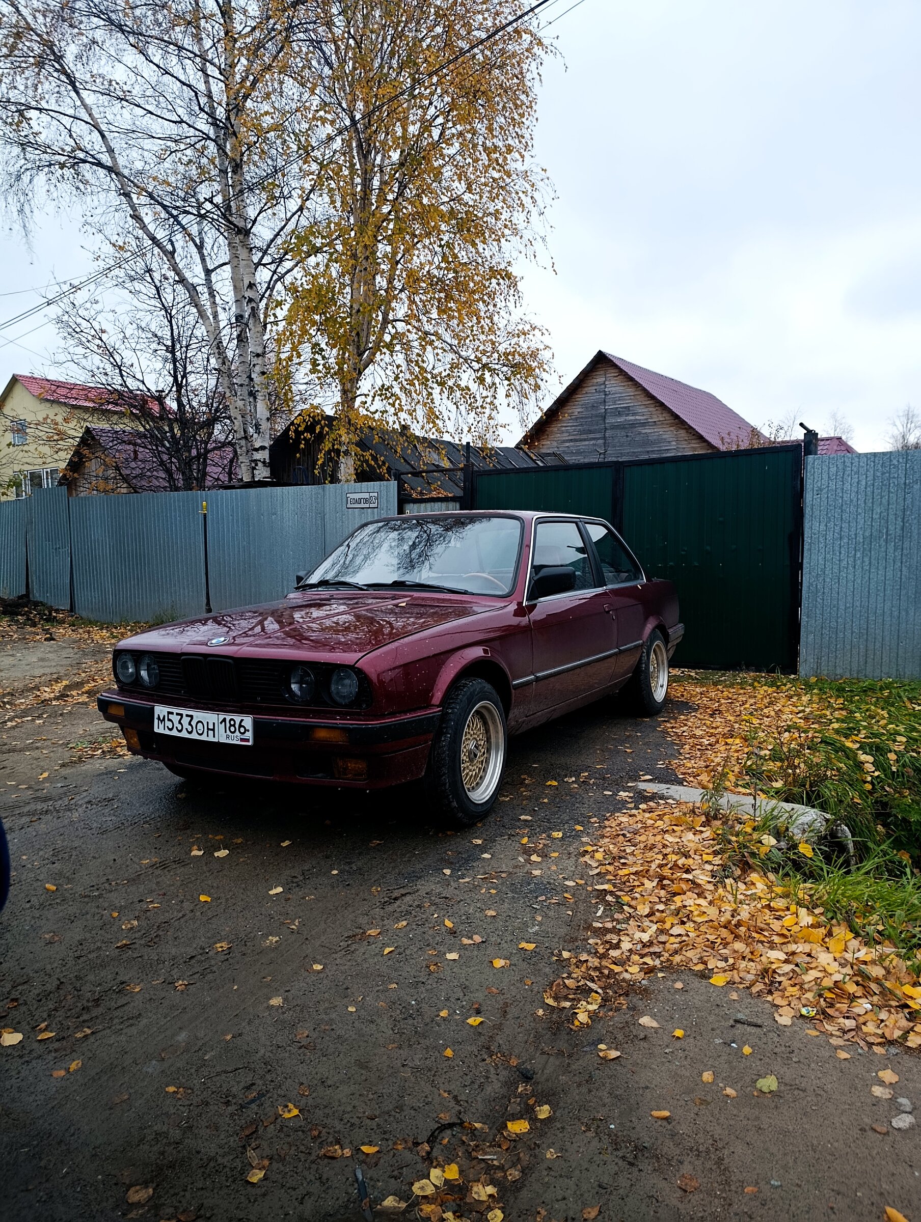 63695.jpg