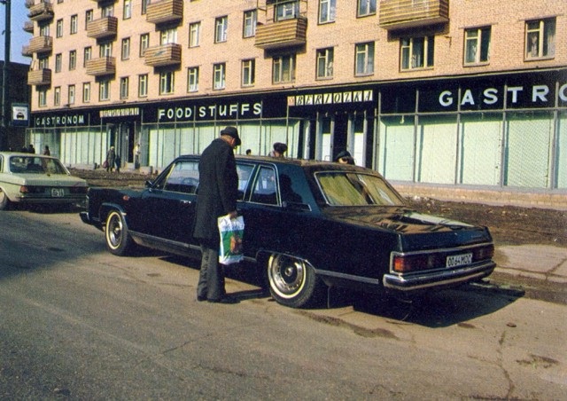 Чайка и Берёзка.jpg