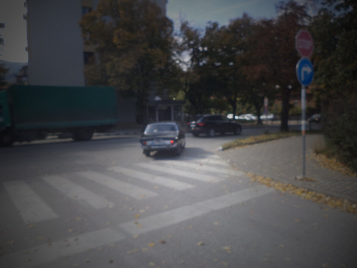 DSC00186.JPG