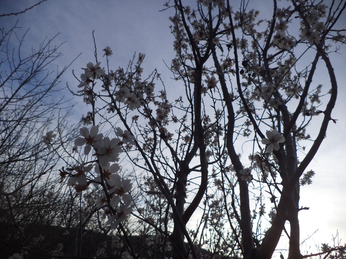 DSC00345.JPG