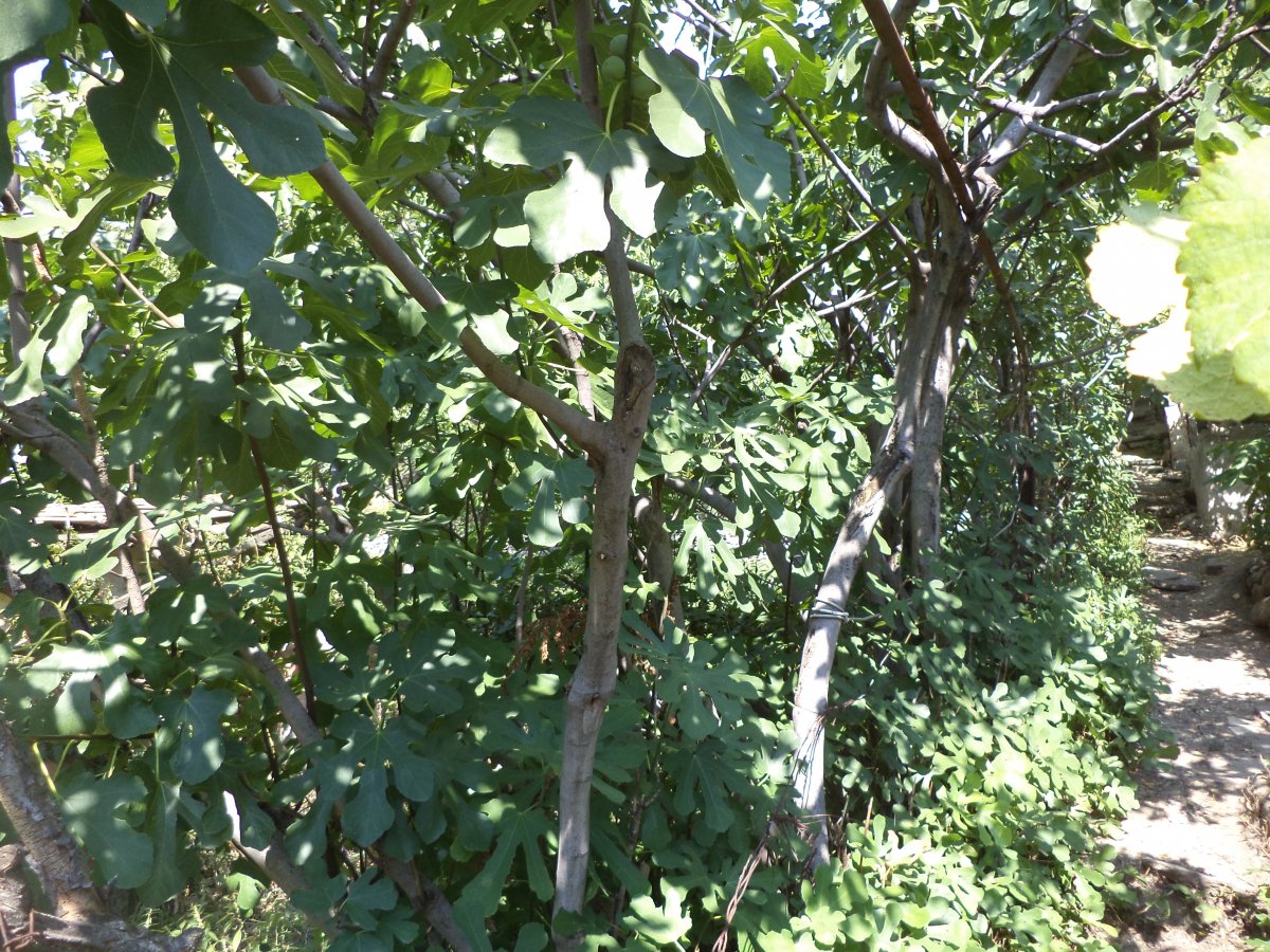 DSC05547.JPG