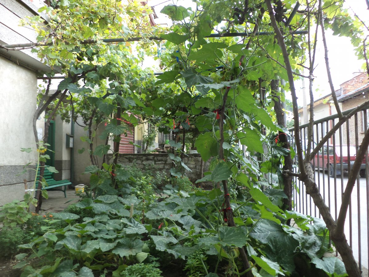 DSC07319.JPG