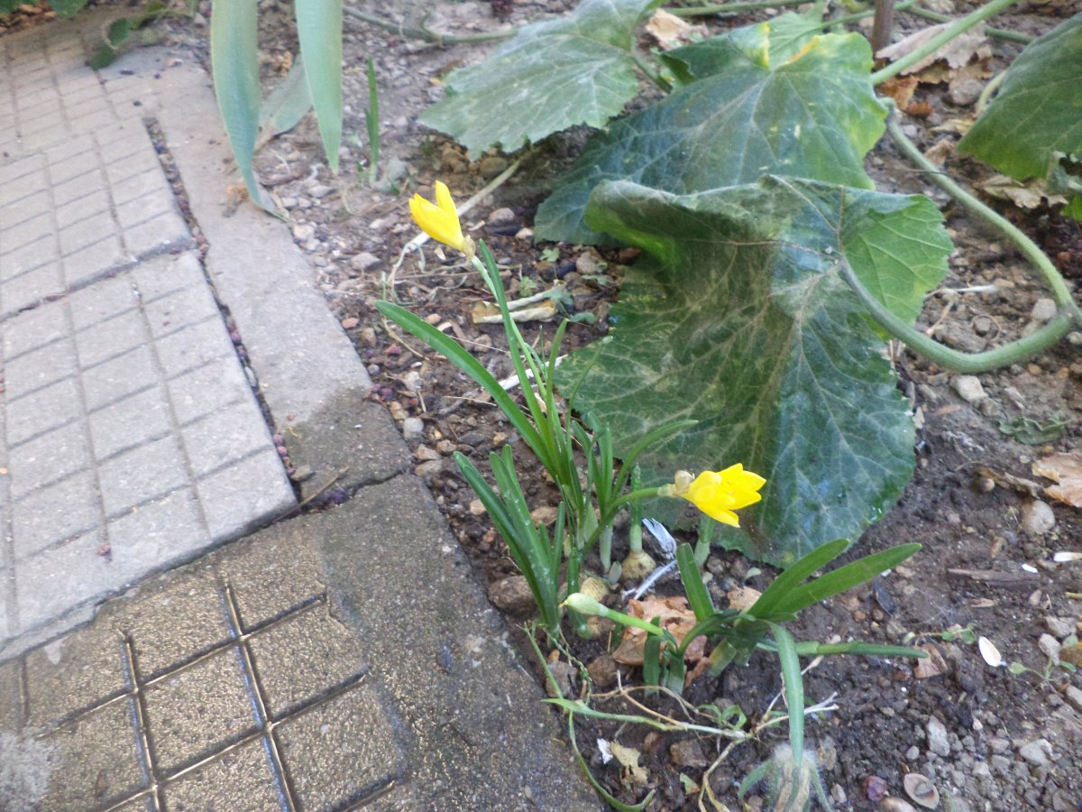 DSC07447.JPG