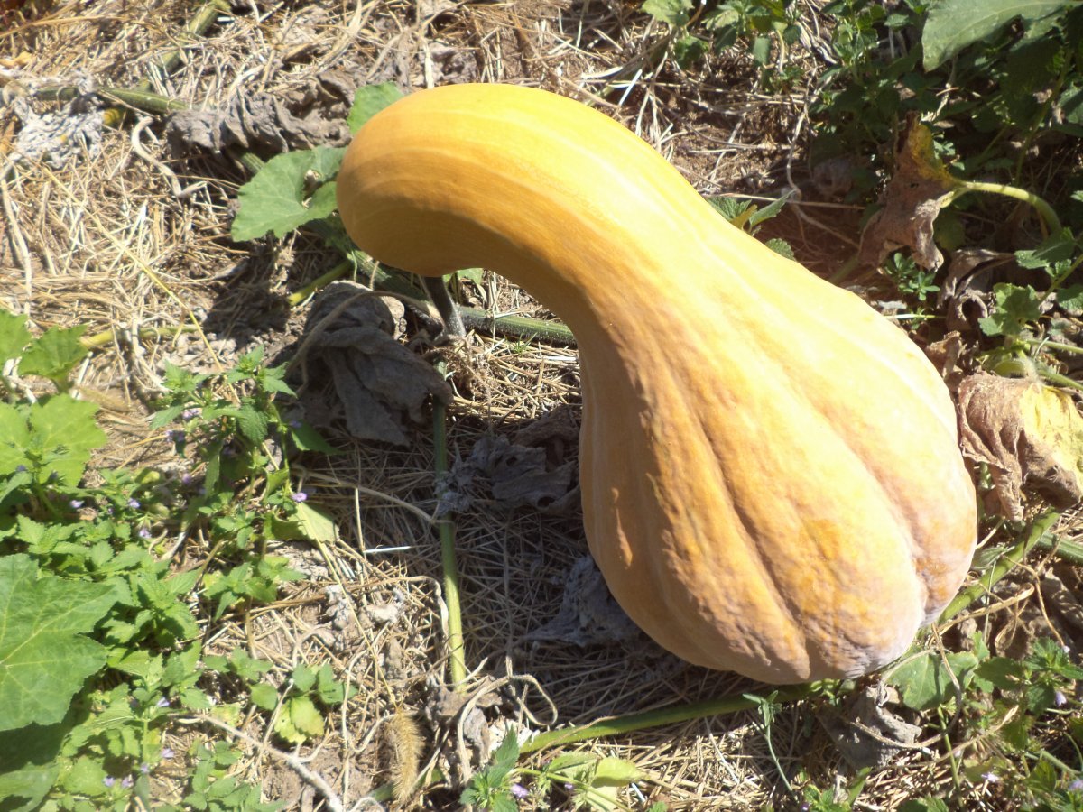 DSC07473.JPG