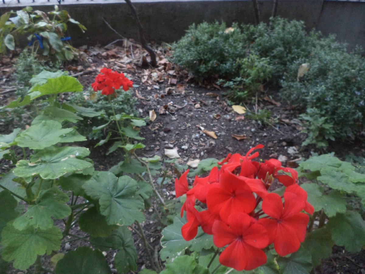 DSC07654.JPG