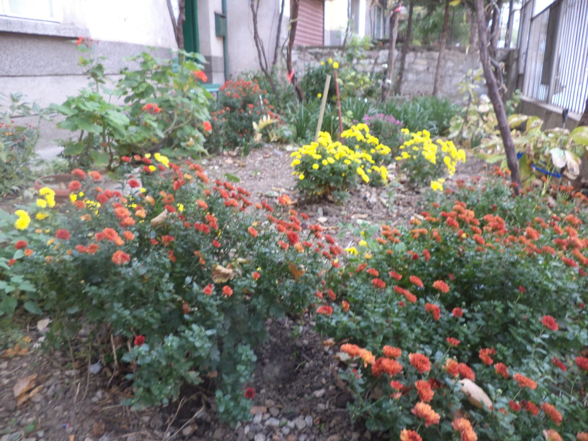 DSC07834.JPG