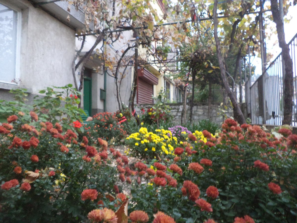 DSC07920.JPG
