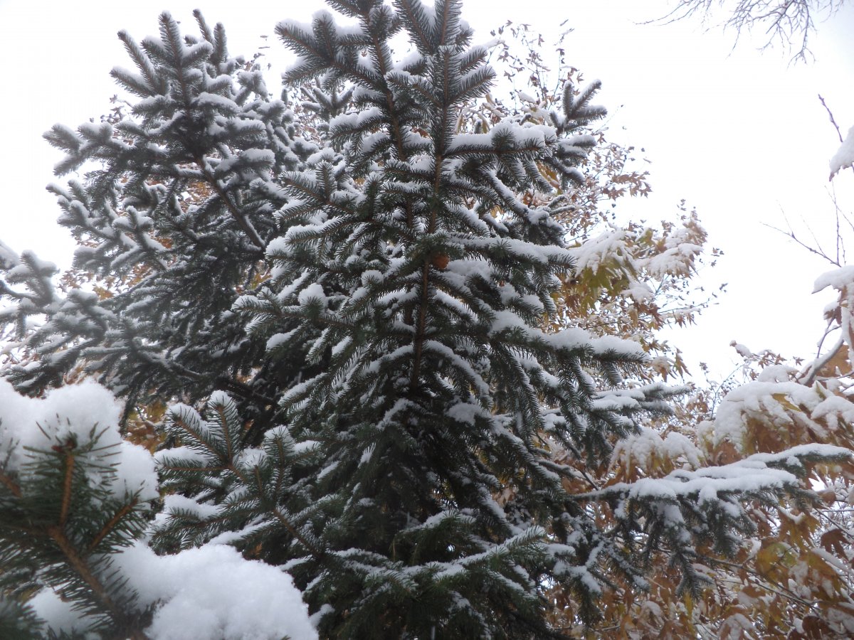 DSC08009.JPG