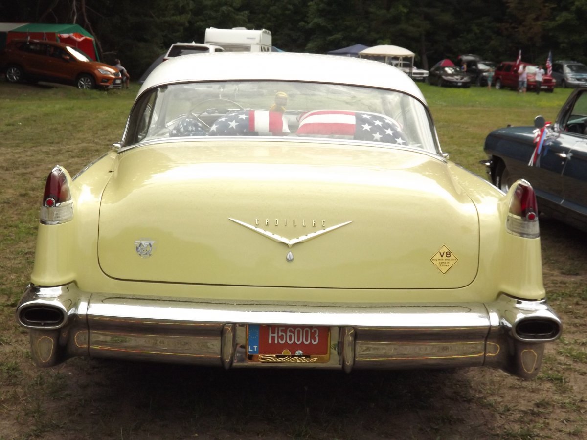 DSCF5349.JPG