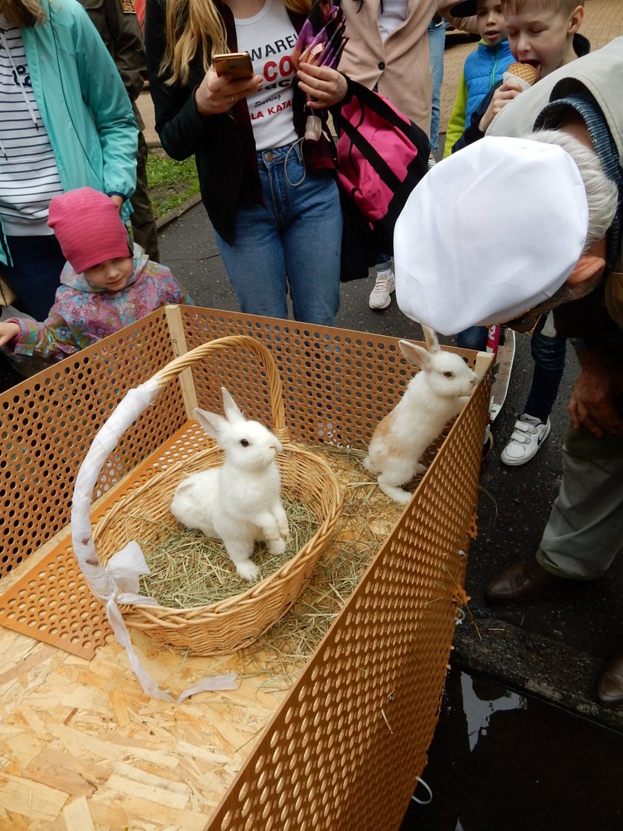 DSCN3049.jpg