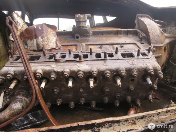 getUserImage (9).jpg