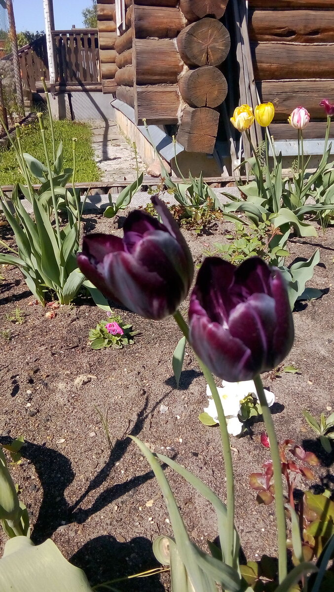IMG-20190519-WA0017.jpeg