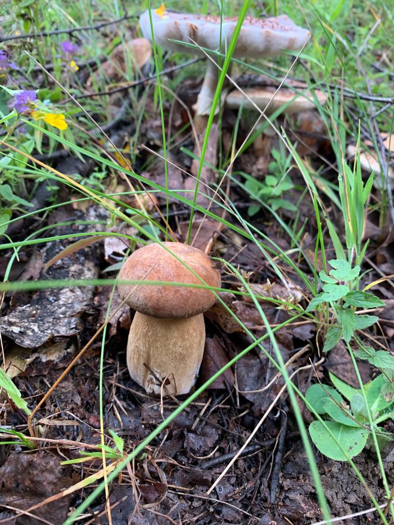 IMG-20190721-WA0023.jpg