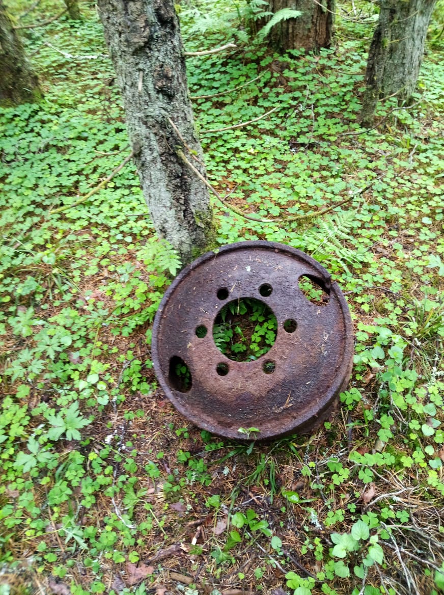 IMG-20210613-WA0005.jpg