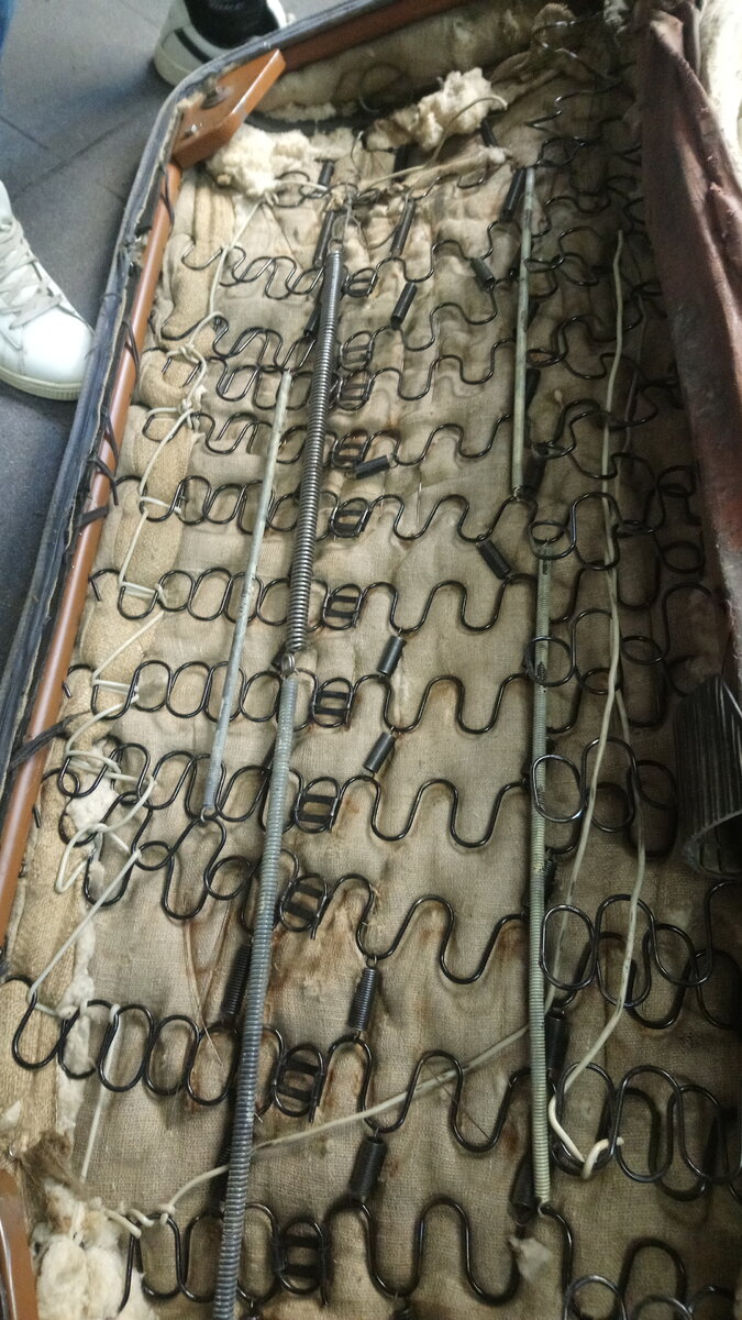 IMG-20220131-WA0042.jpeg