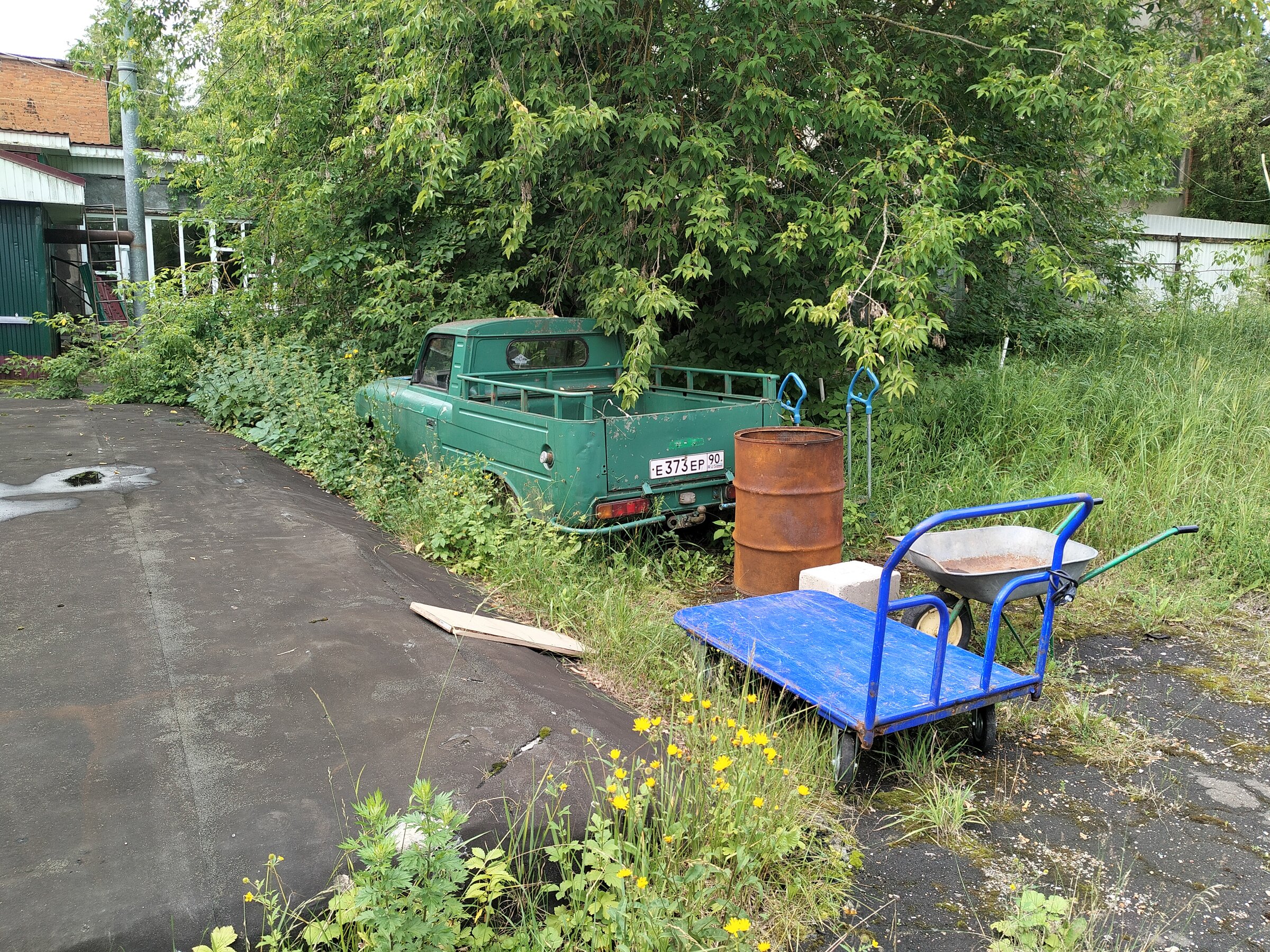 IMG20260705090622.jpg
