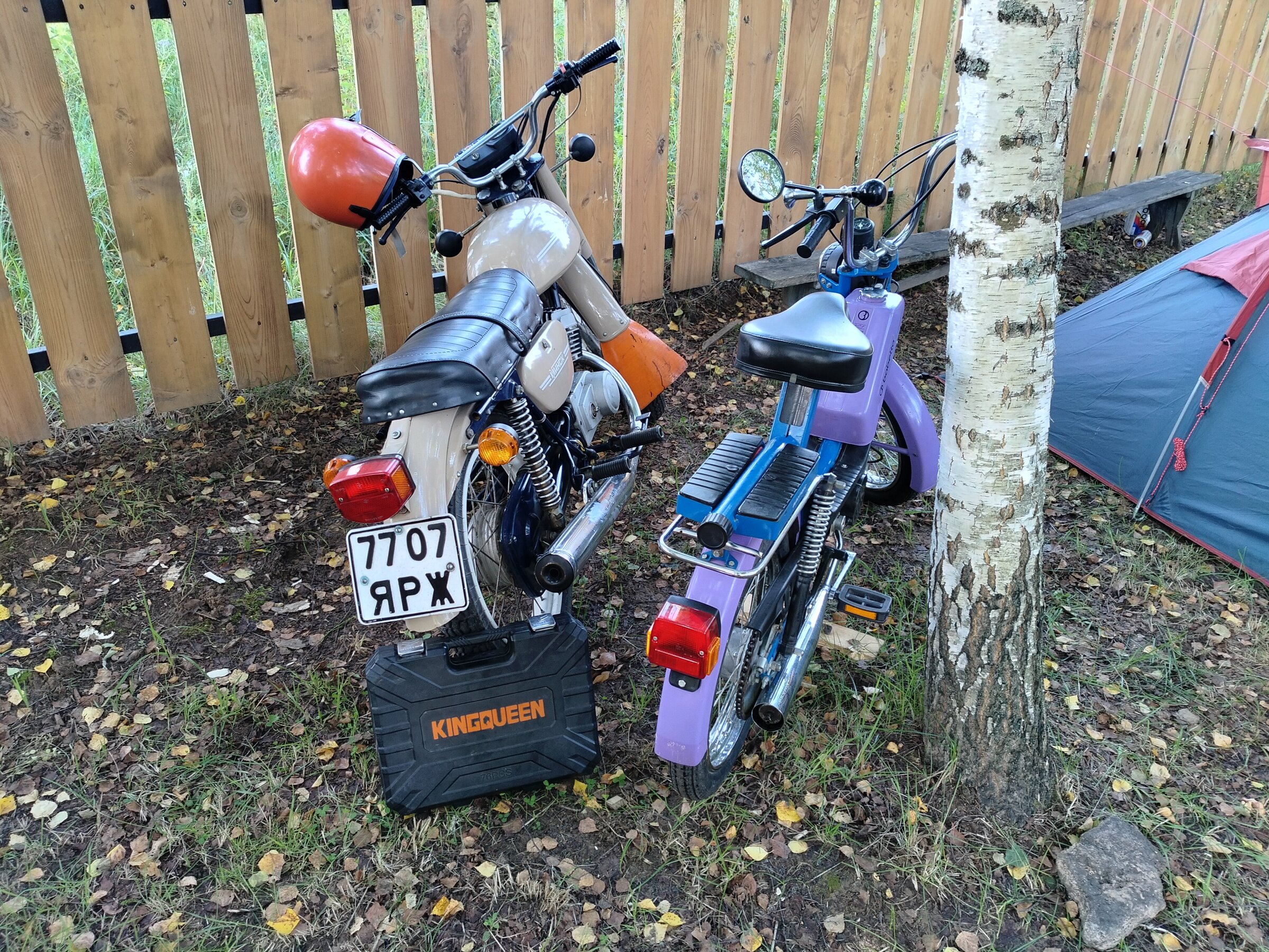 IMG20260801055510.jpg