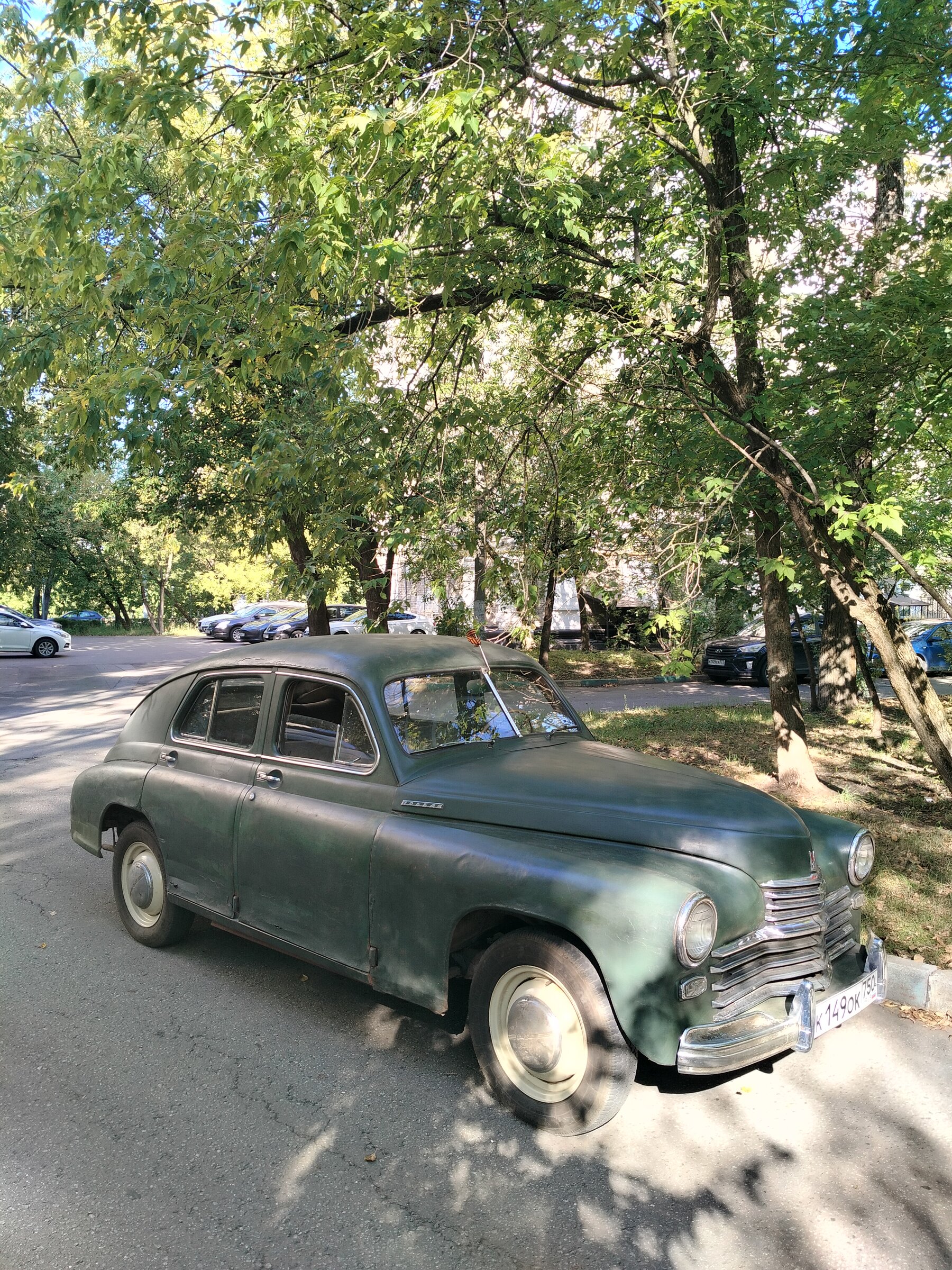 IMG20260828092541.jpg