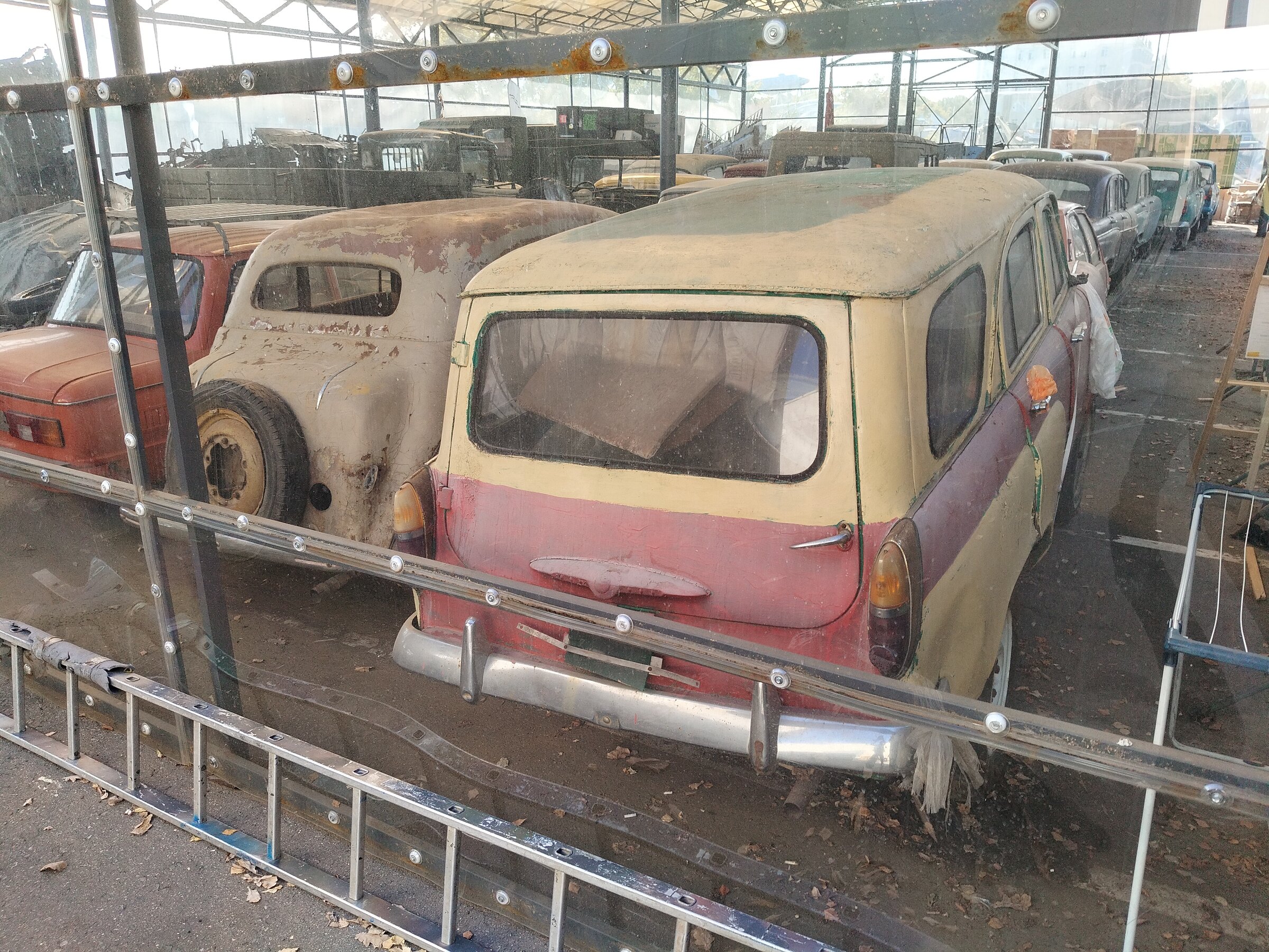 IMG20260910135514.jpg