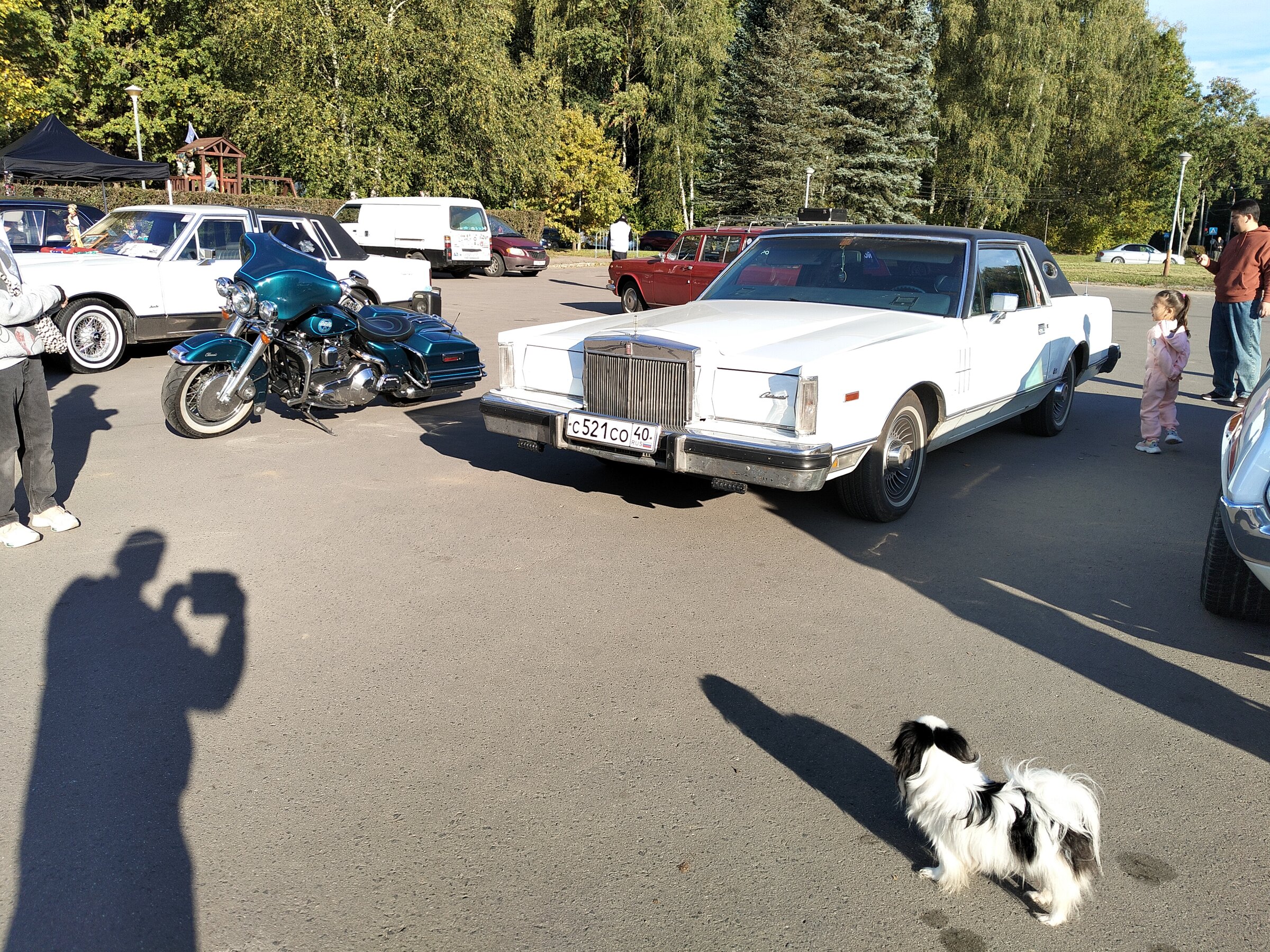 IMG20260919162036.jpg