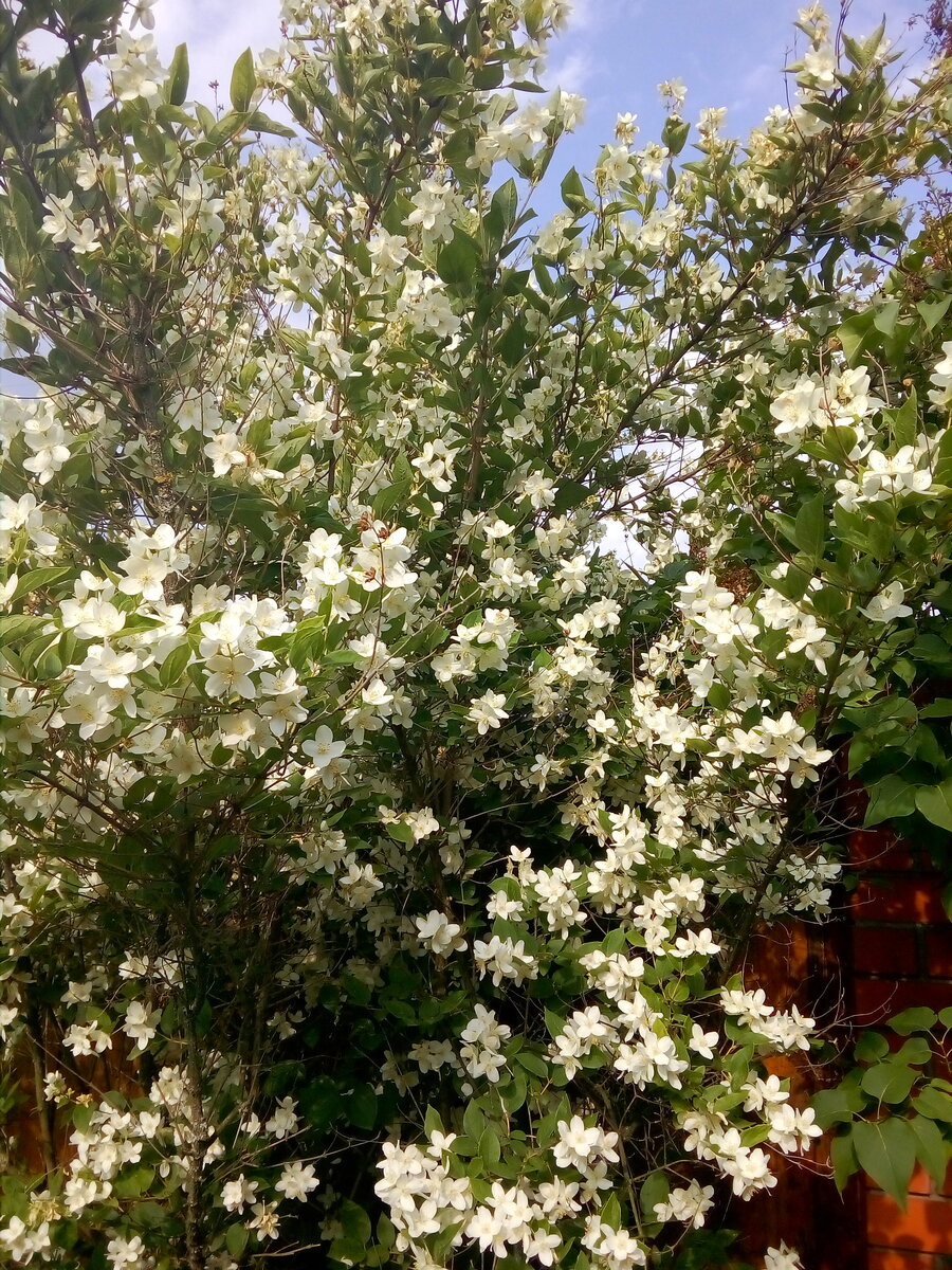IMG_20190622_075928.jpg