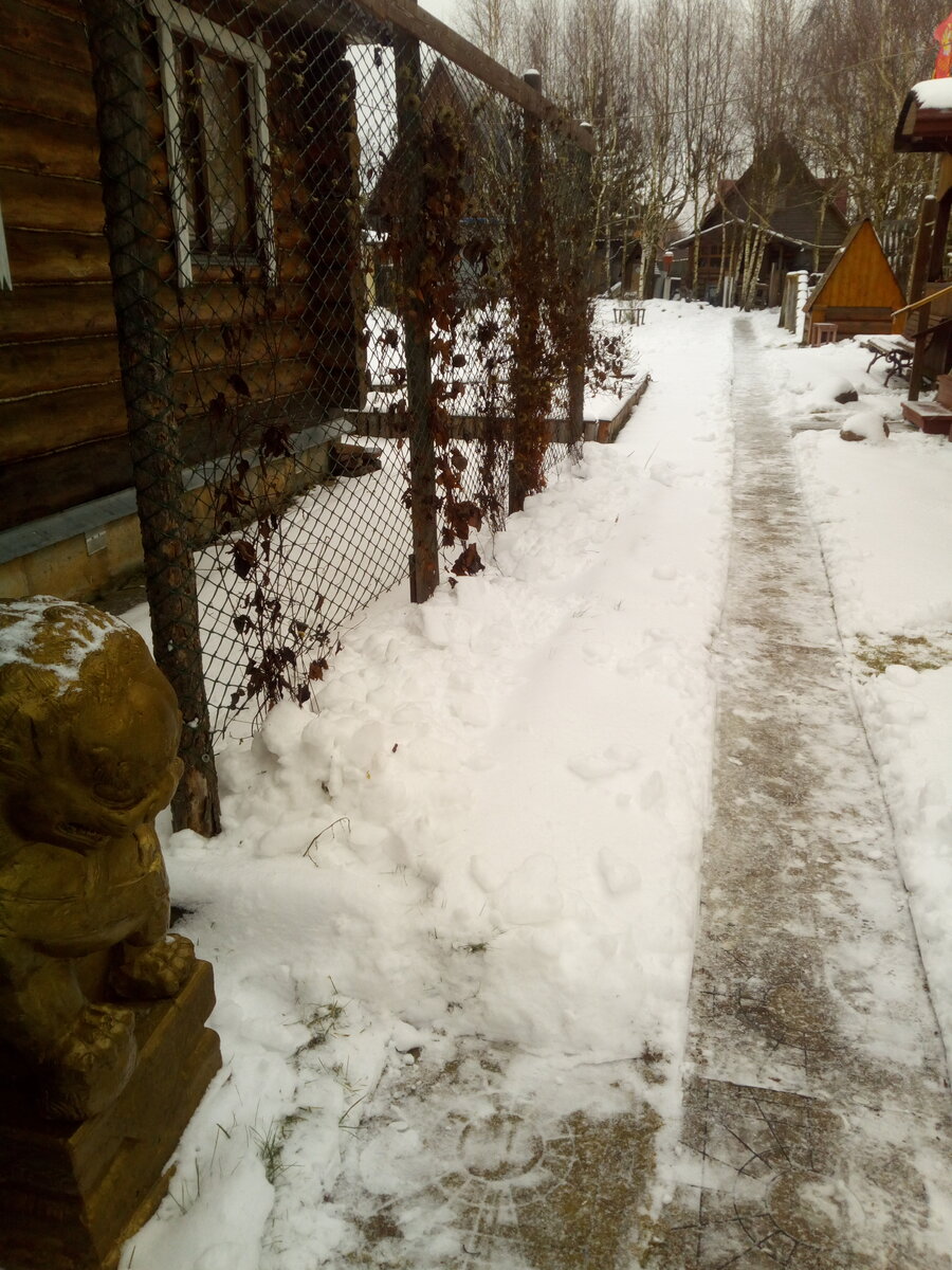 IMG_20200202_093903.jpg