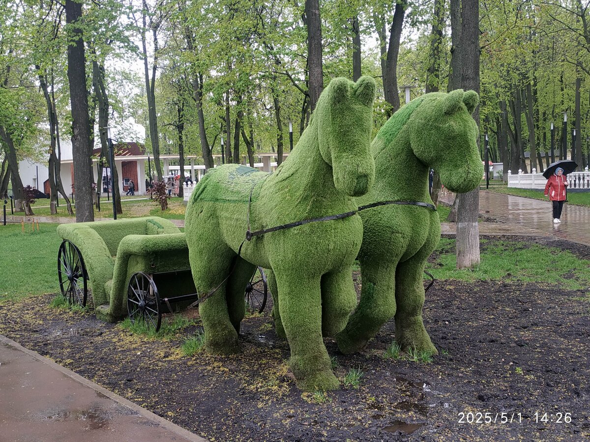 IMG_20250501_142625.jpg