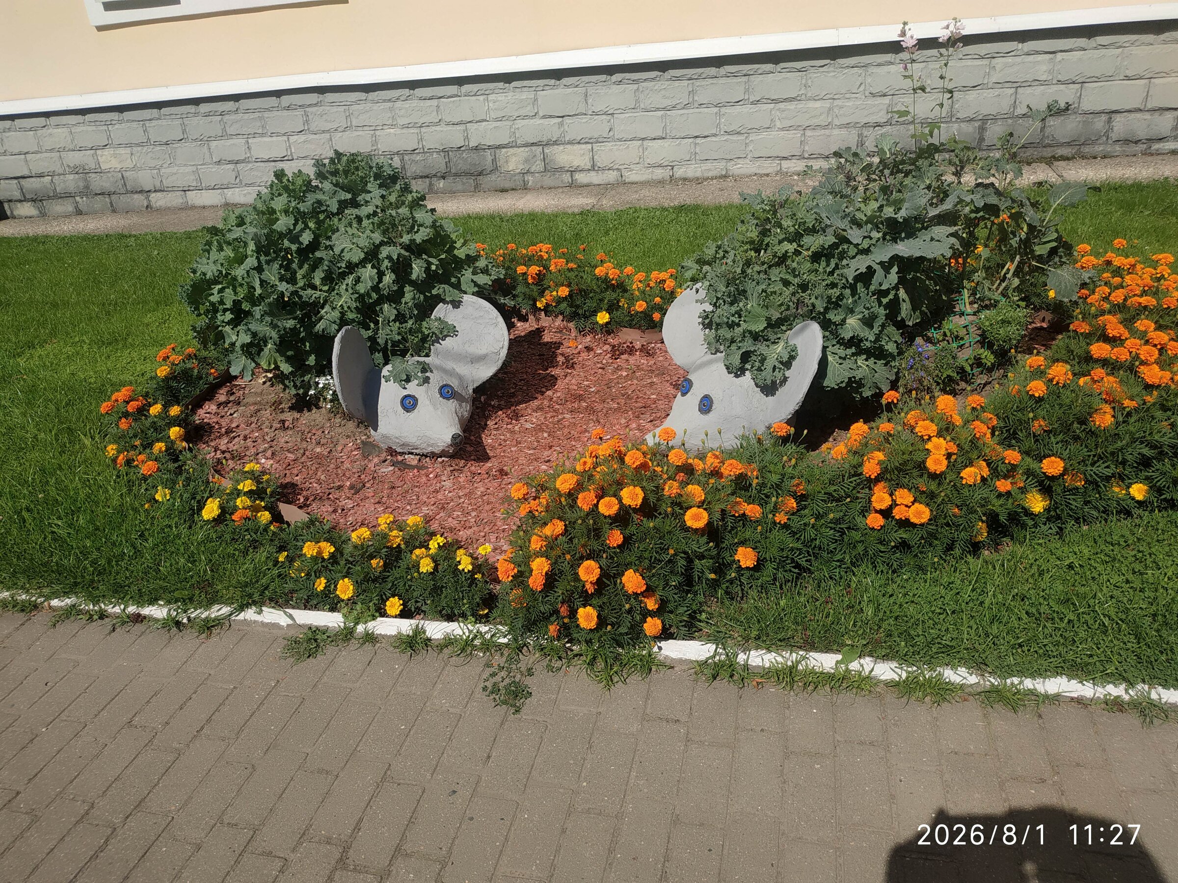 IMG_20260801_112711.jpg