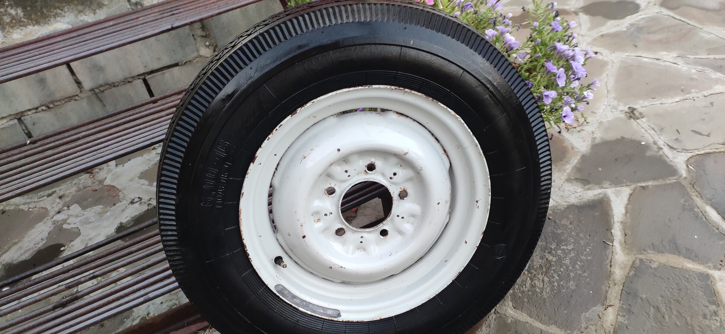 IMG_20260811_193116.jpg