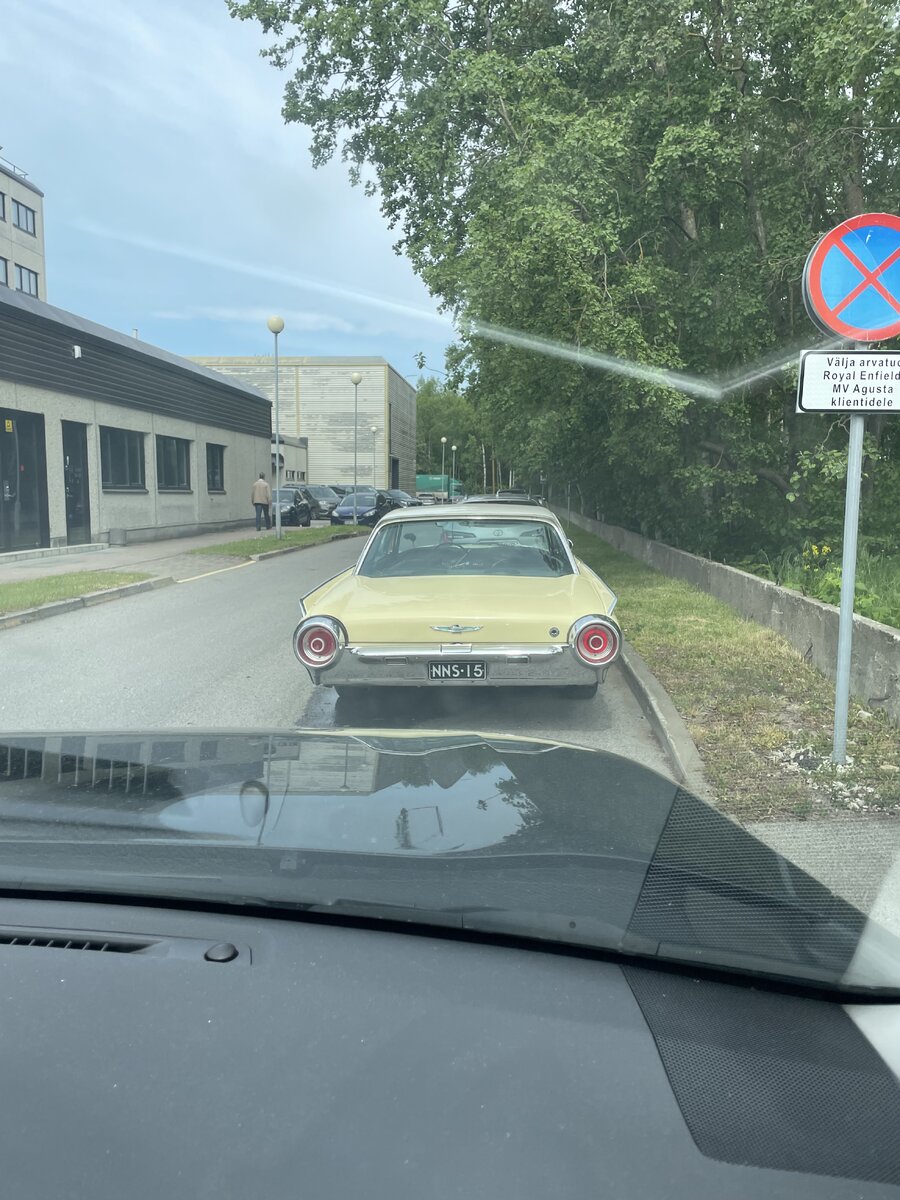 IMG_9395.jpeg