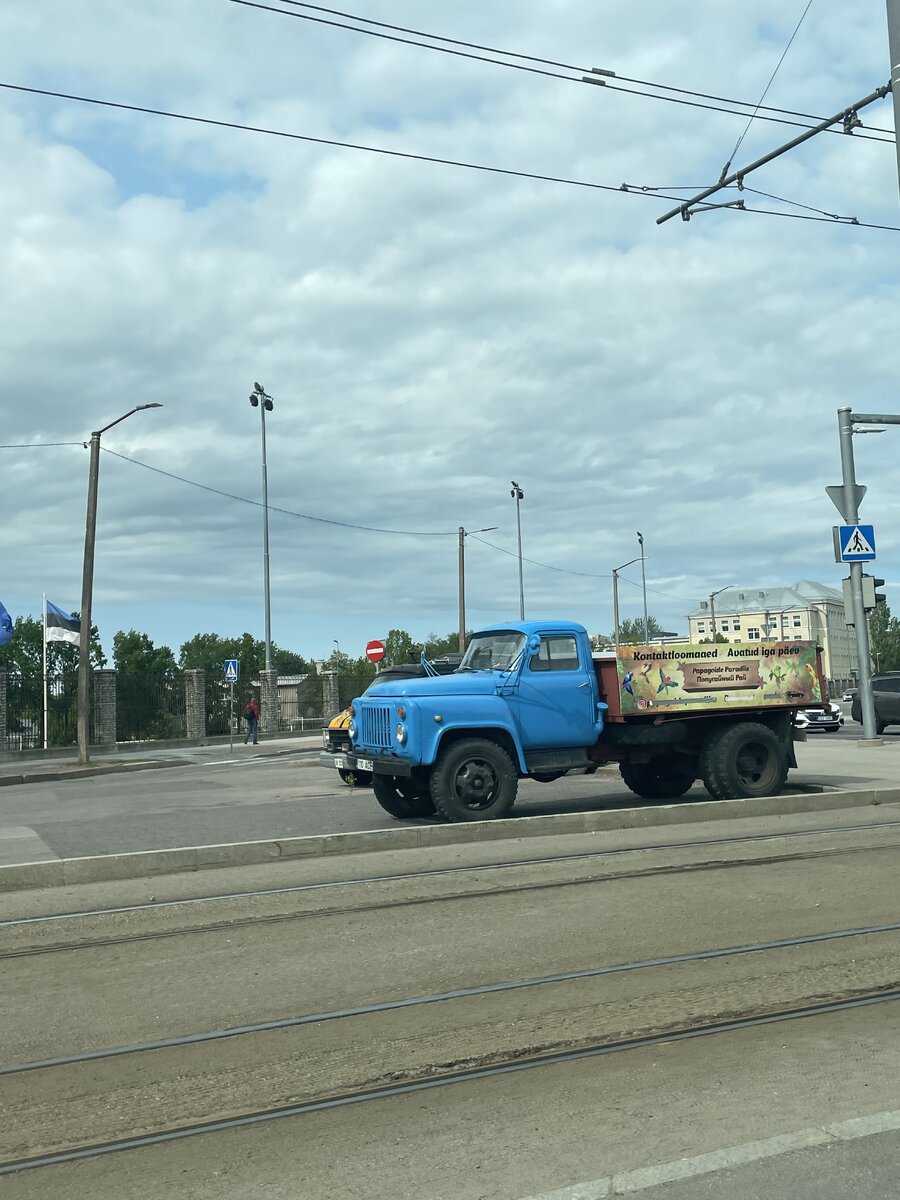 IMG_9453.jpeg