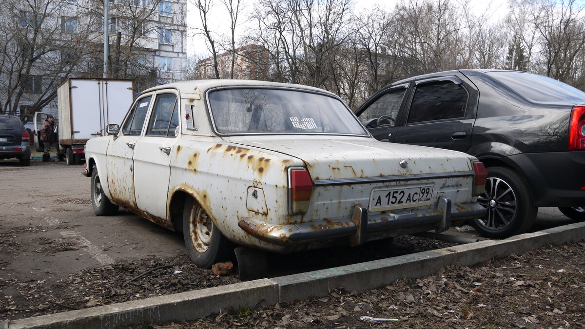 P1010990.JPG