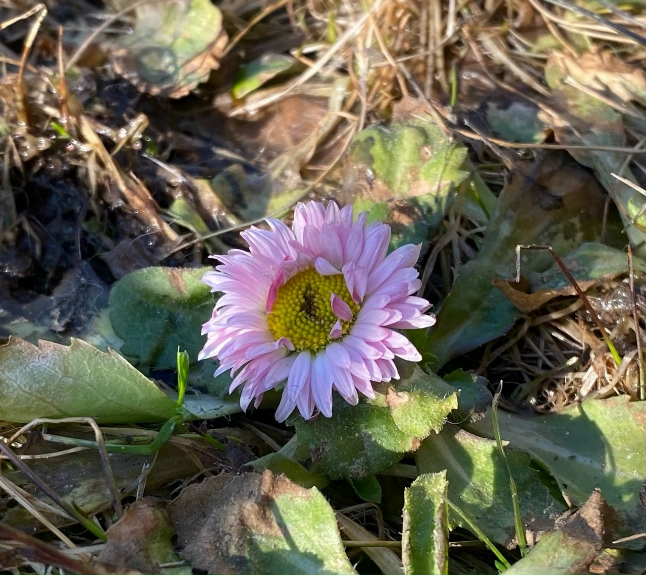 Qbg_ULlznNBkEMRkq7ANLt9MVl9YCFaFu-G7qEL4xHiQPxyFX-V1wZKBoYLncJqGKtBNVJ9bk5vwf9vnQD7xaVg5 (1).jpg