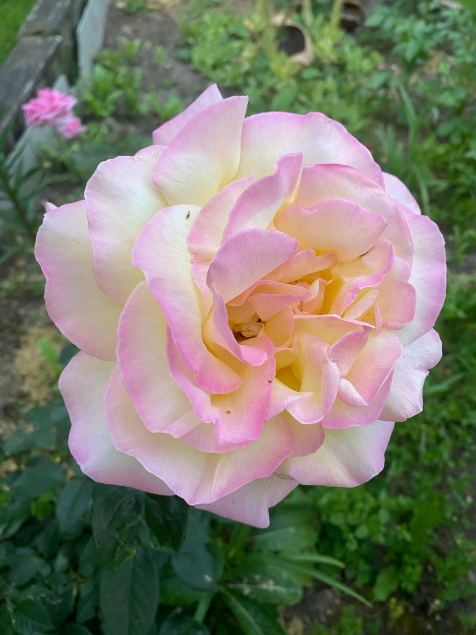 rVtUdGQXZTybYlZ29XZmuAYoPm0voTW3JJPgrDSM9WmrYosH0dM_Q6189Bba3EaA9rmTeArsDHtNDNWwHkYcQzww.jpg