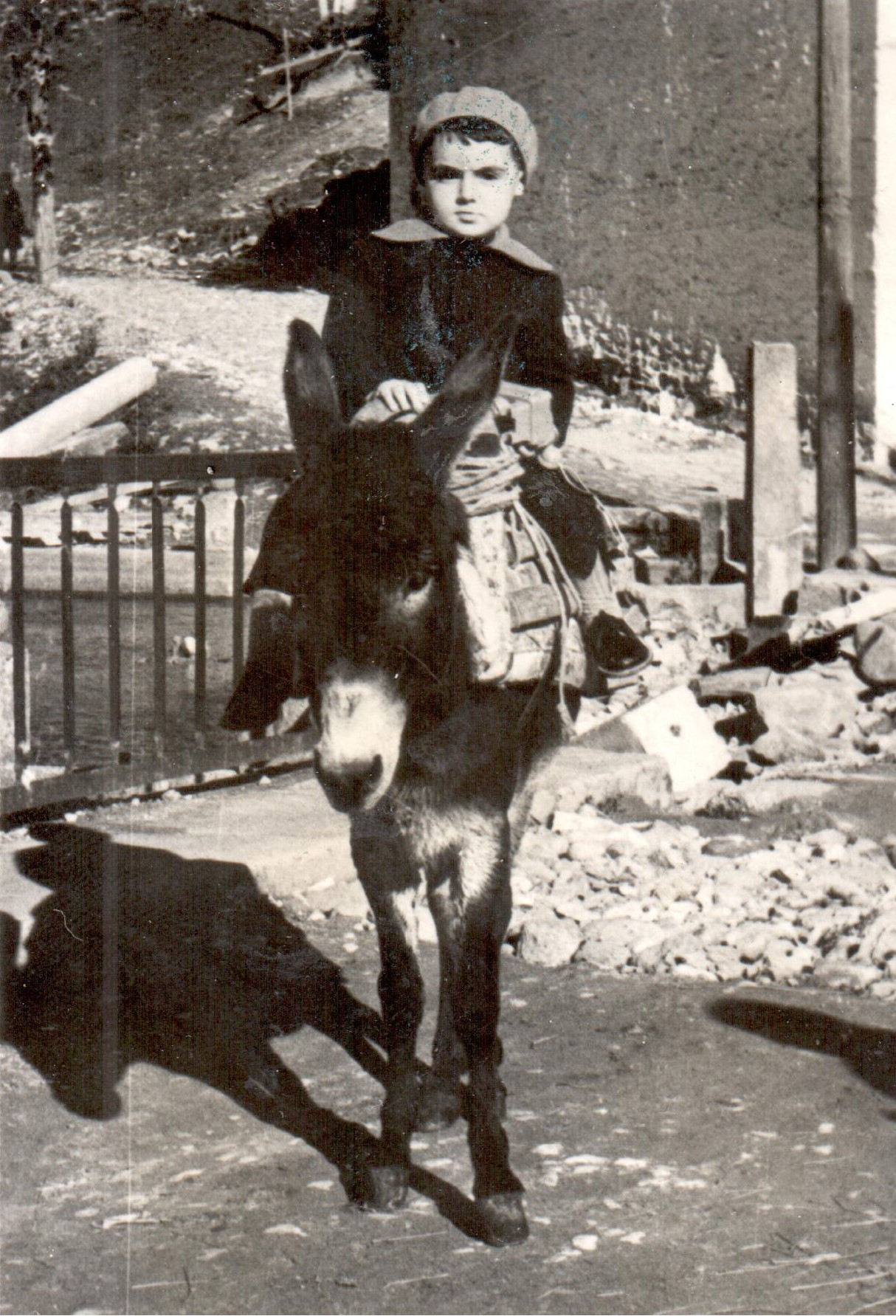 Scan2.jpg