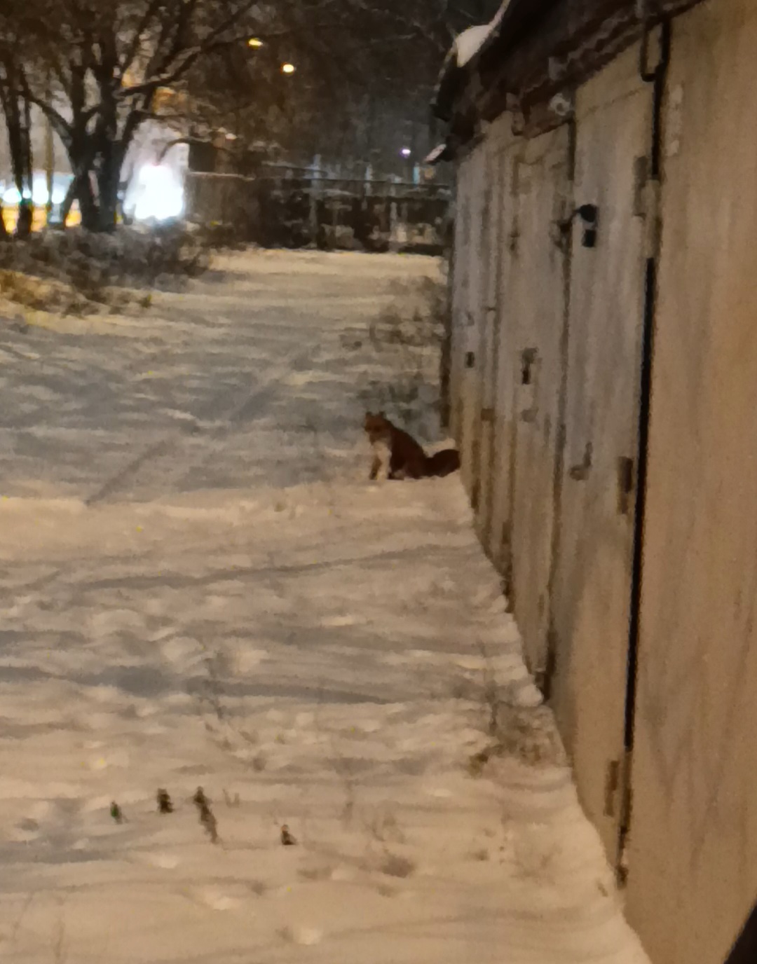 Screenshot_20260104_125329_XPlayer - Video Player.jpg