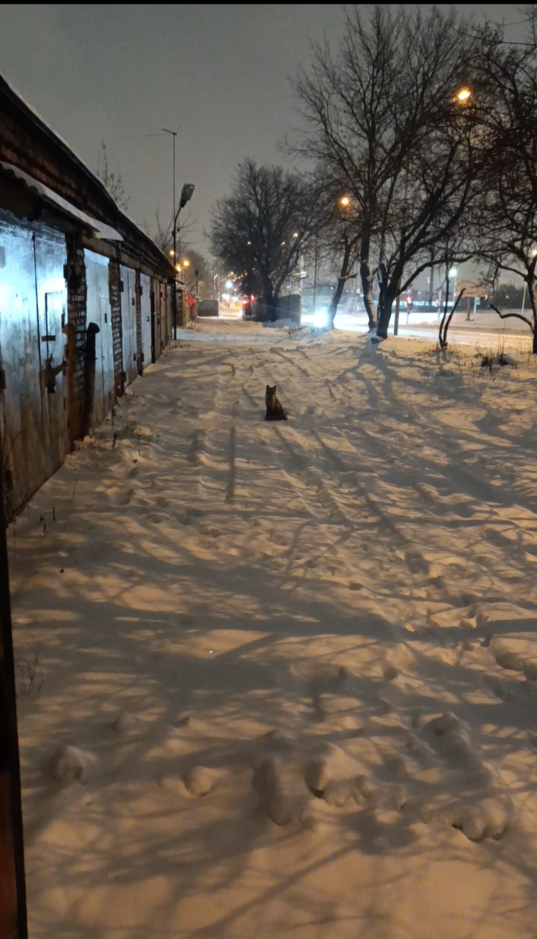 Screenshot_20260104_125343_XPlayer - Video Player.jpg