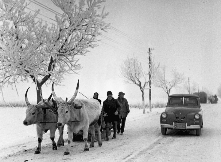 Screenshot_20260228_200830_Yandex Start.jpg