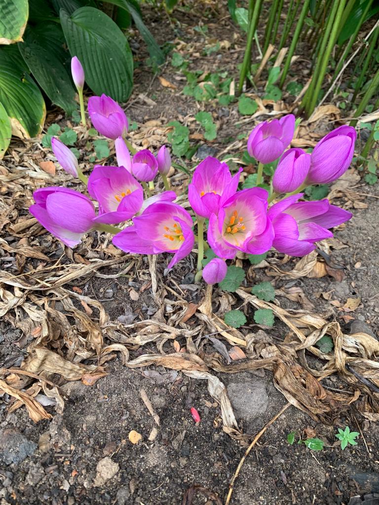 WhatsApp Image 2022-09-14 at 13.21.06.jpeg