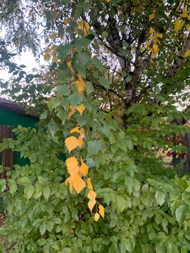 WhatsApp Image 2022-09-17 at 18.35.48.jpeg