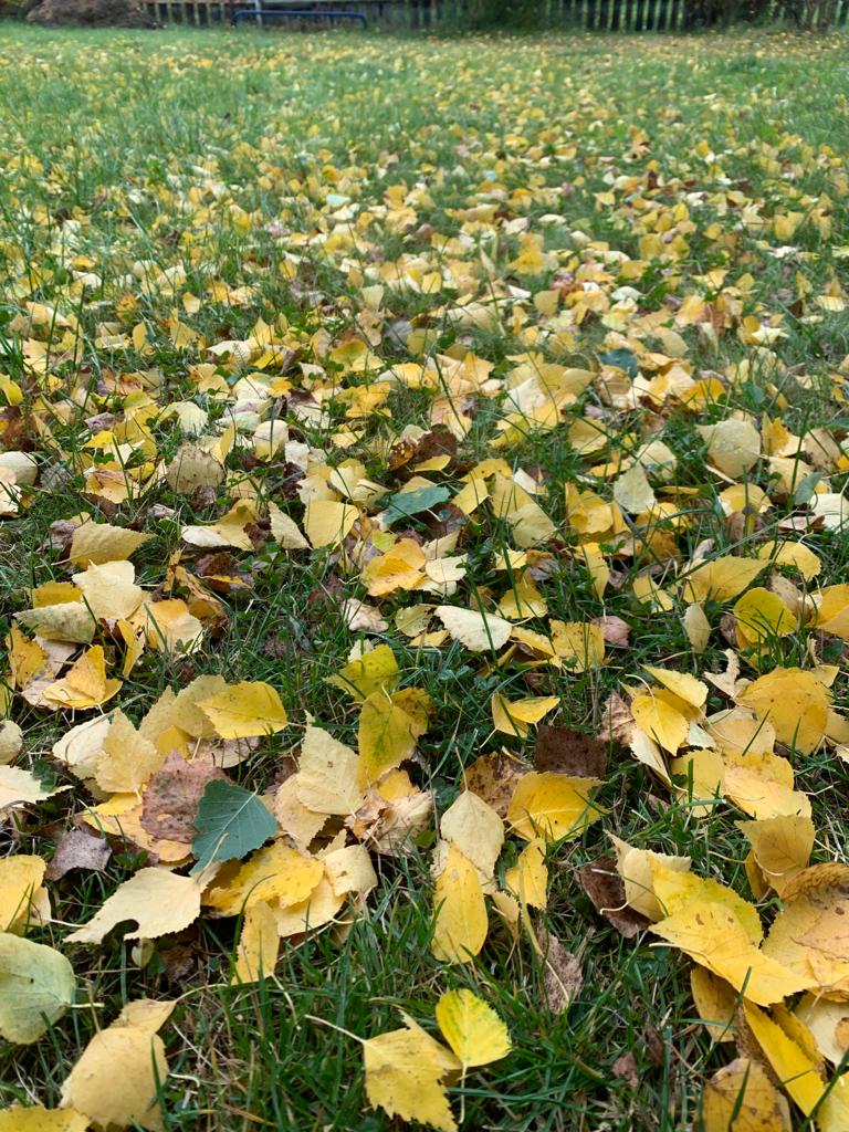 WhatsApp Image 2022-09-19 at 15.43.18 (2).jpeg