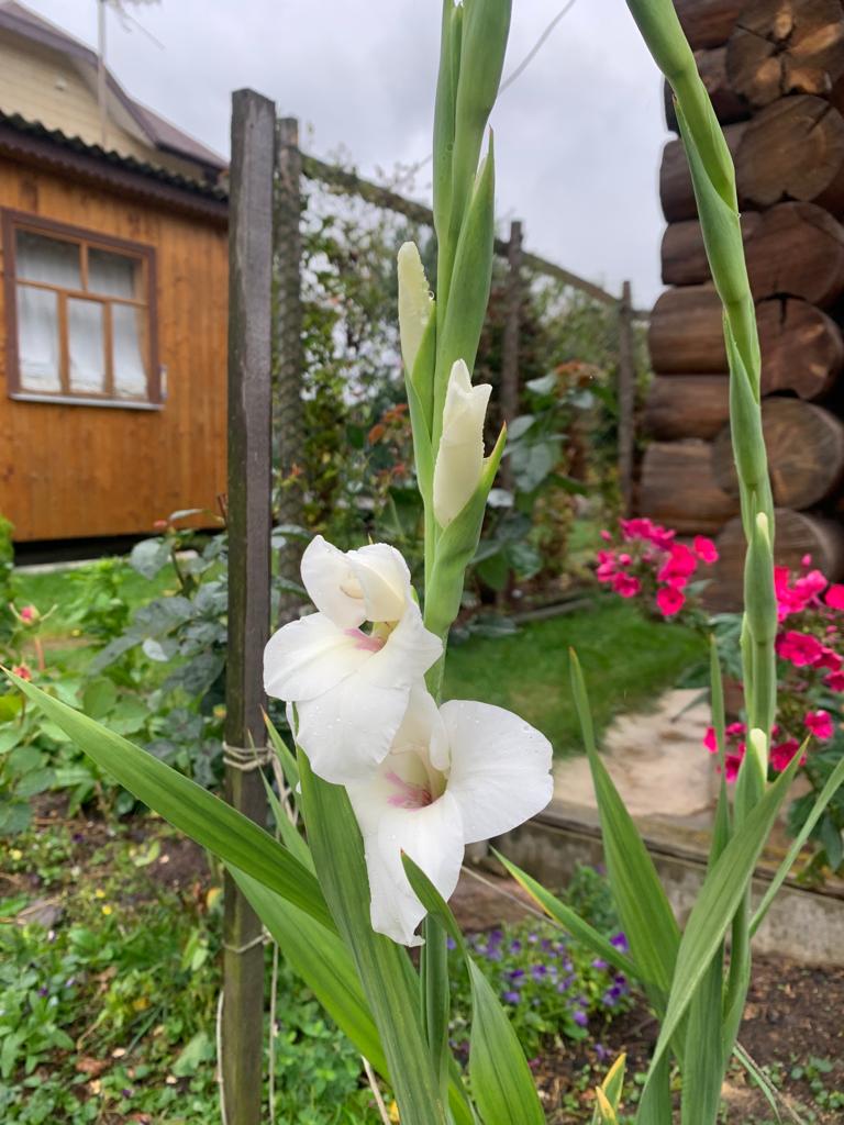 WhatsApp Image 2022-09-19 at 15.43.18.jpeg